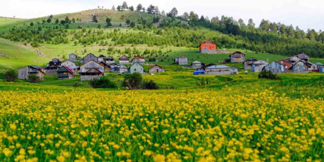 Sarı çiçeklere bürünen çayırları, buz gibi akan çeşmeleri... Gümüşhane’nin 950 rakımda masal diyarı 5
